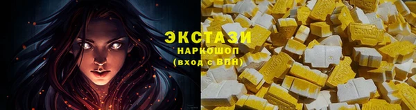 шишки Верея