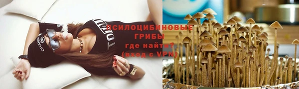 шишки Верея