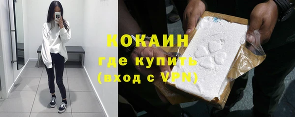 шишки Верея