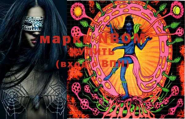 шишки Верея