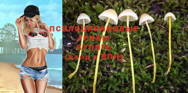 не бодяженный Верхний Тагил