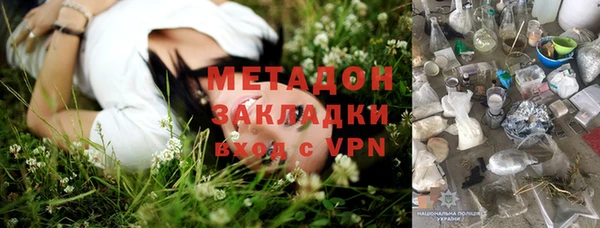 шишки Верея