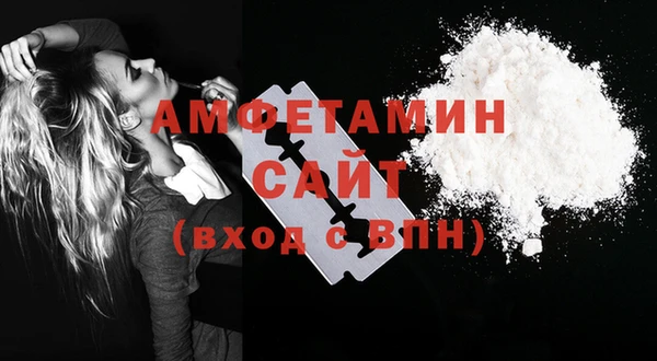шишки Верея