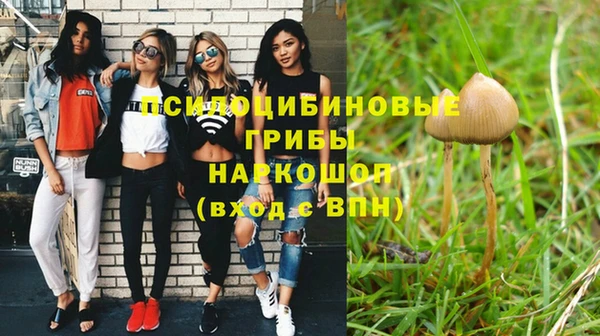 не бодяженный Верхний Тагил