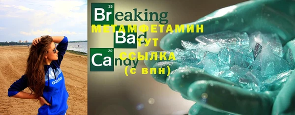 шишки Верея